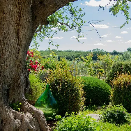 Trulli Arco Antico Villa Locorotondo Exterior photo