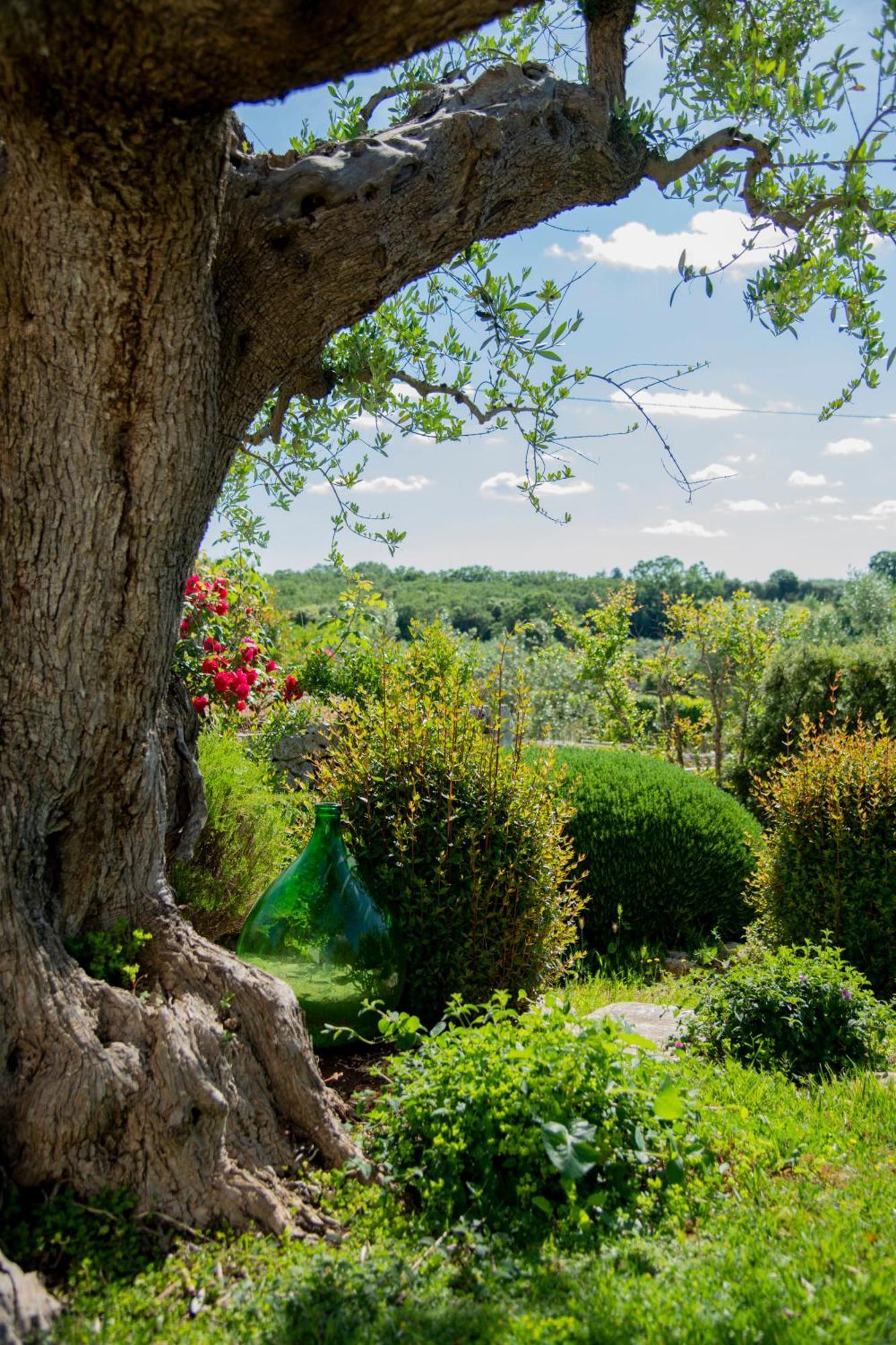 Trulli Arco Antico